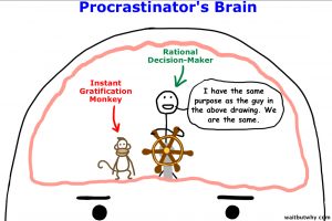 Procrastinator´s brain